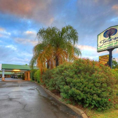 Jacaranda Country Motel Saint George Exterior photo